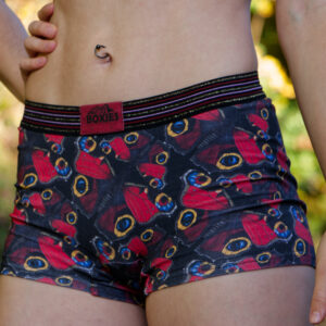 Schmetterling Boxies